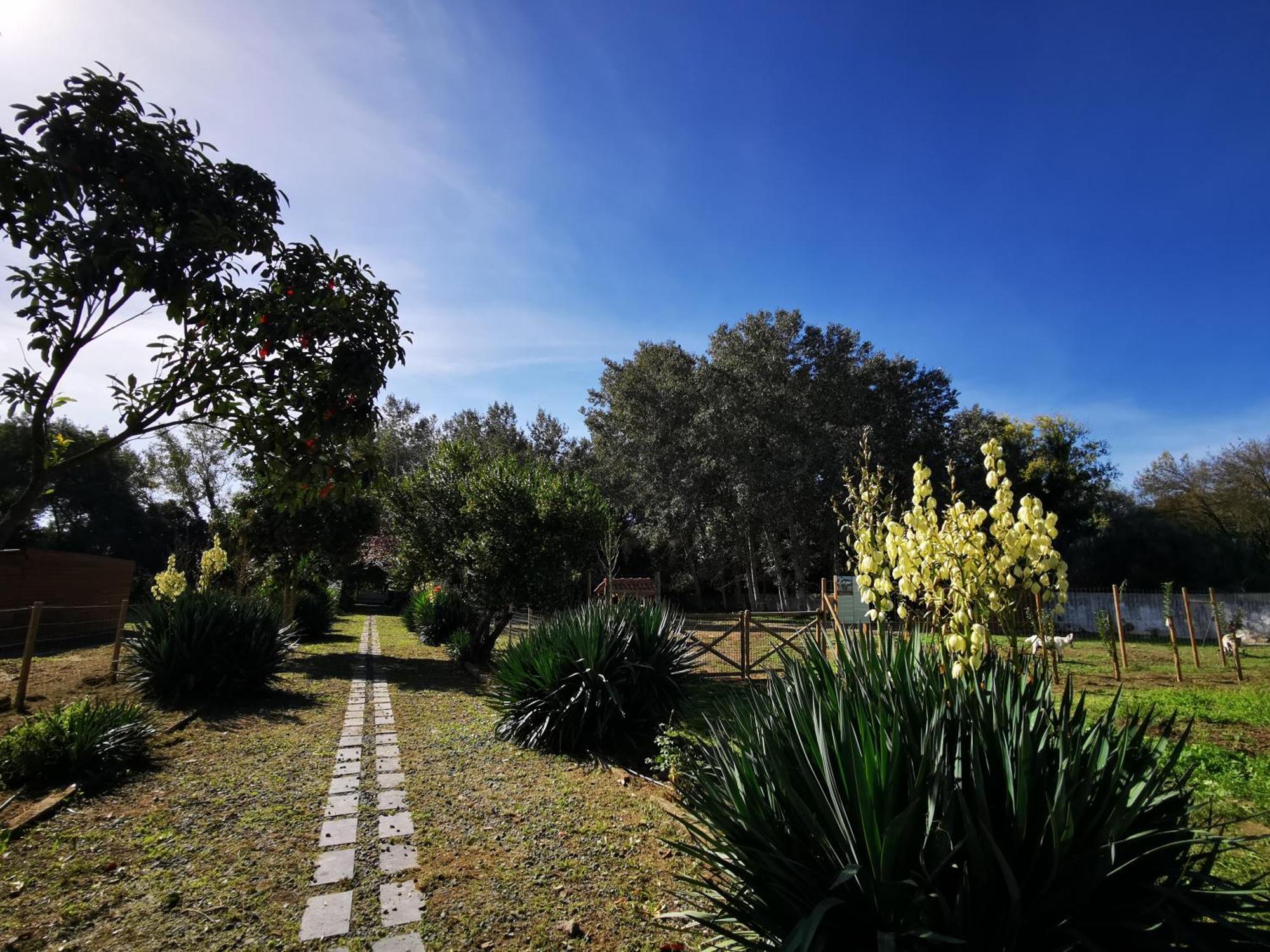Вилла Quinta Do Louredo - Эвора Экстерьер фото